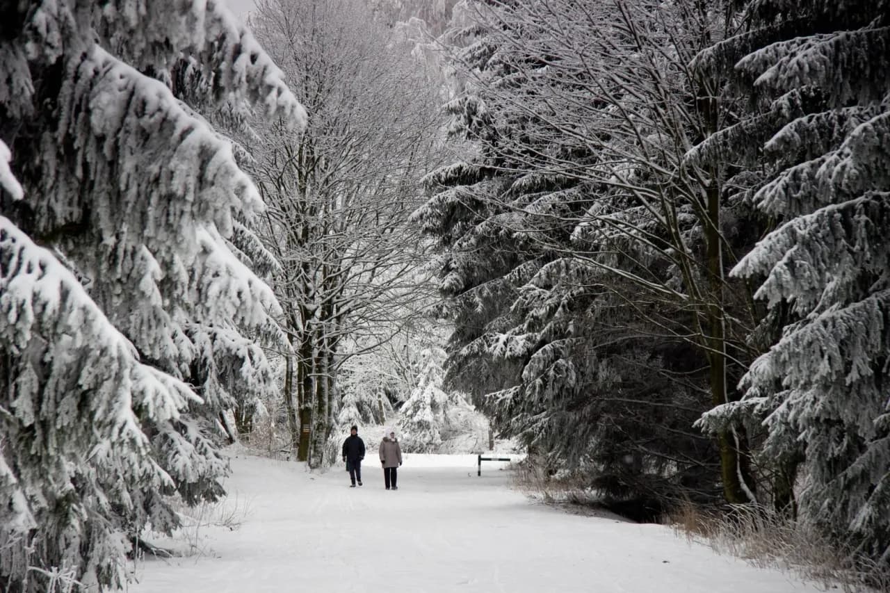 Ile śniegu w górach? Sprawdź aktualne warunki narciarskie!