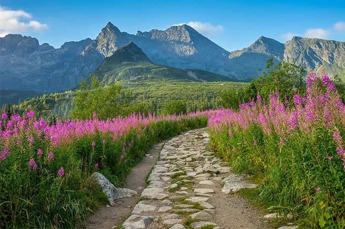 Gdzie najbliżej w góry? Odkryj idealne miejsca na weekendowy wypad